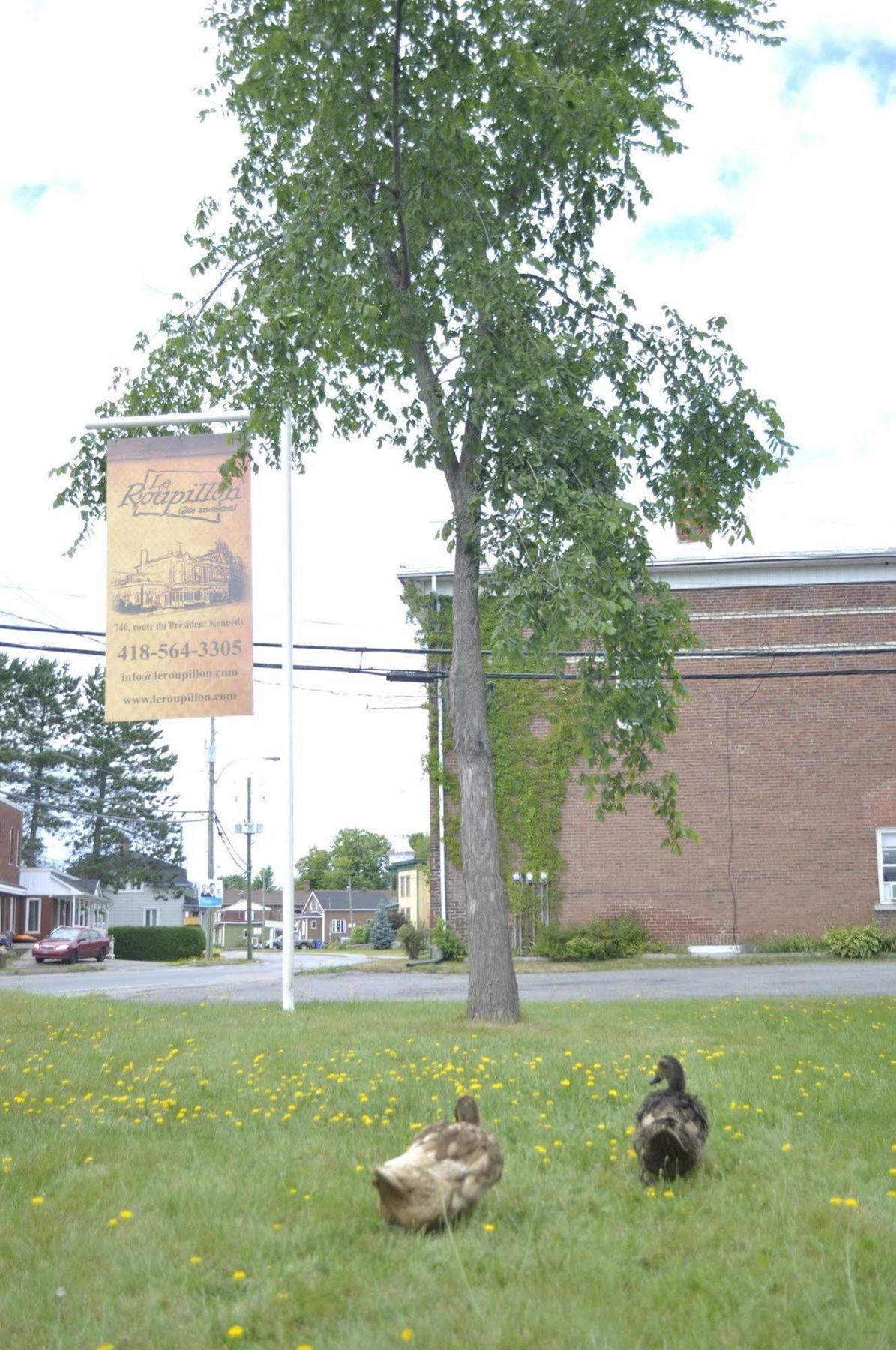Gite Le Roupillon En Beauce Scott Esterno foto